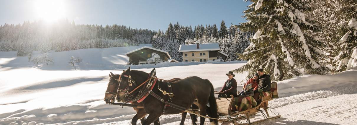 Winter_Pferdeschlitten