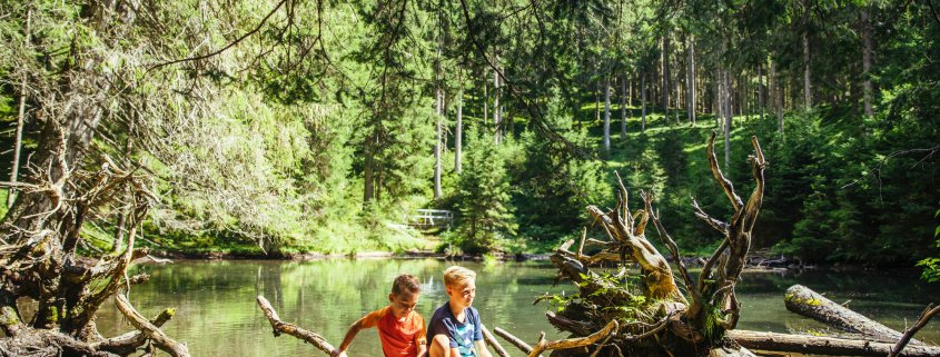 Kinder spielen im Wald am Wasser