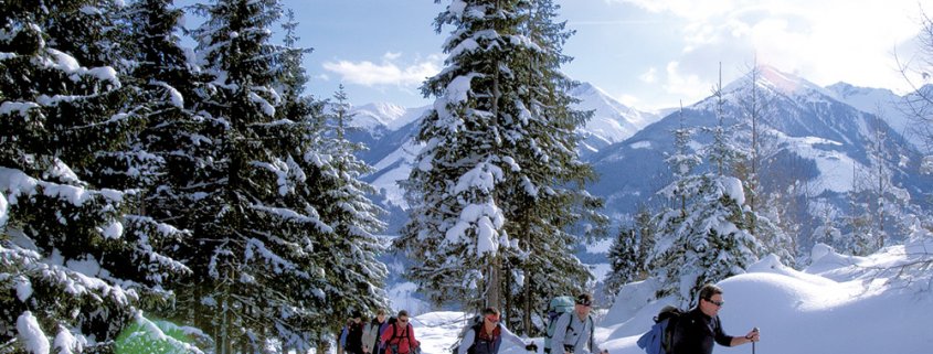 schneeschuhwandern_wald_natur_winter