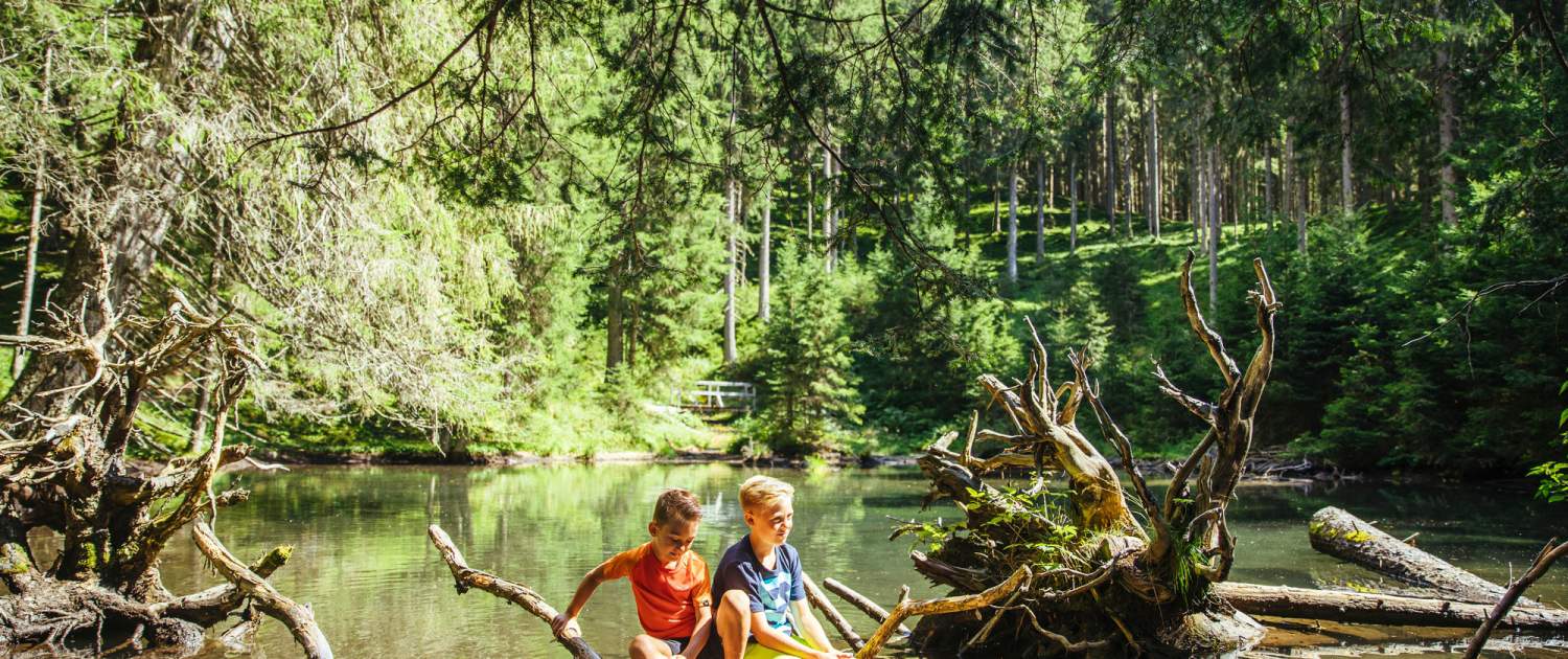 Kinder spielen im Wald am Wasser