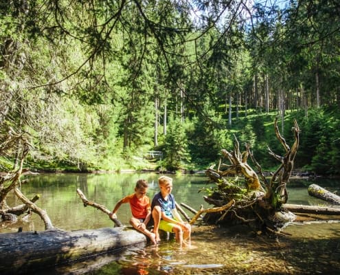 Kinder spielen im Wald am Wasser Kinder spielen im Wald am Wasser