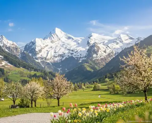 fruehling-salzburger-land-c-gemini Kaprun im Frühling